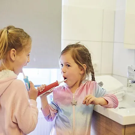 In Limburg With Private Playground Villa Roggel